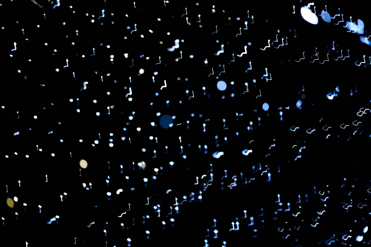 N O W I S W H E N W E A R E (the stars)